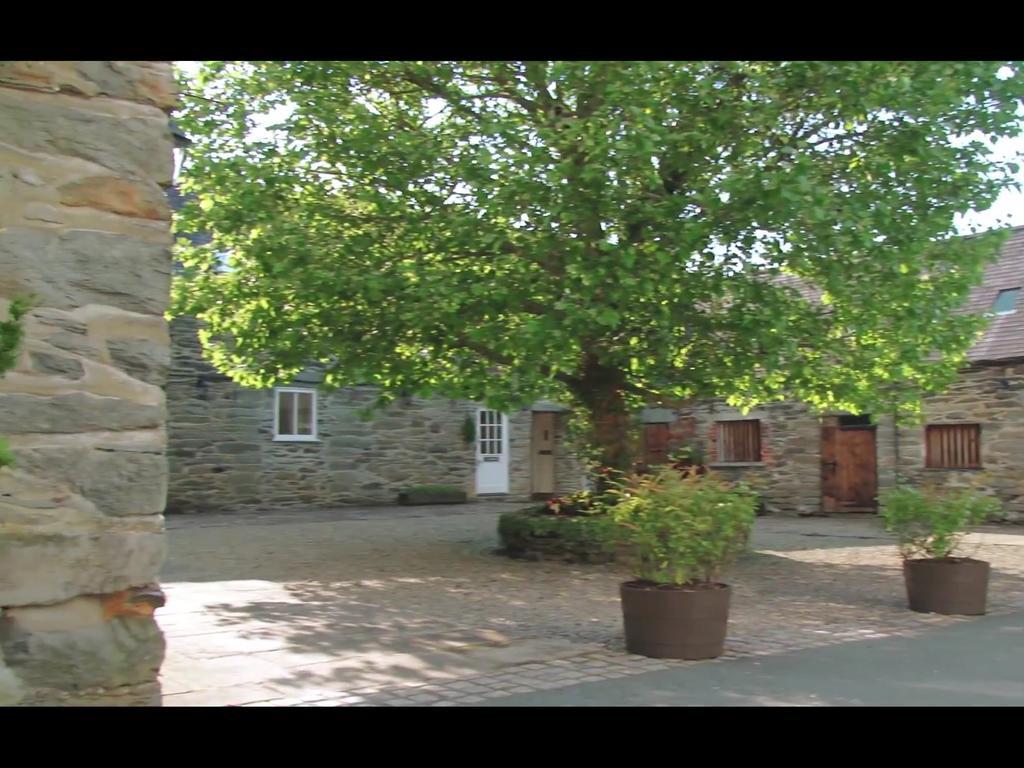 Bryn Melyn Farm Cottages Bala Extérieur photo